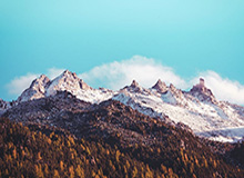 MK体育APP：让运动的每一刻都被看见